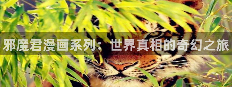 香蕉漫画韩国漫画：邪魔君漫画系列：世界真相的奇幻之旅