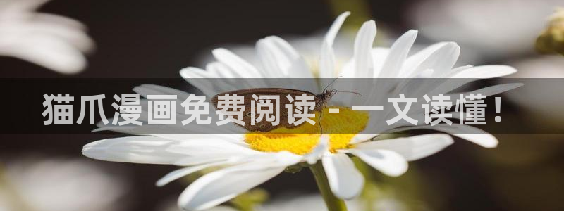 香蕉漫画app在线：猫爪漫画免费阅读 - 一文读懂！