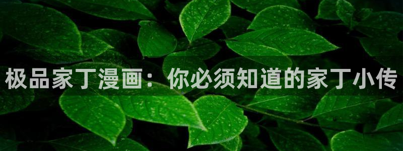 香蕉漫画屋：极品家丁漫画：你必须知道的家丁小传