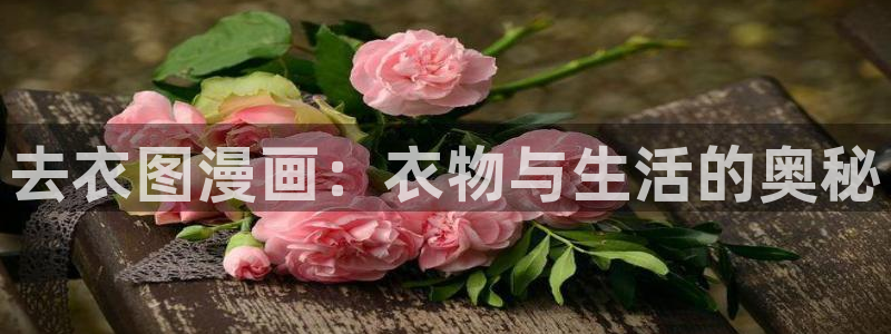 黄香蕉漫画：去衣图漫画：衣物与生活的奥秘