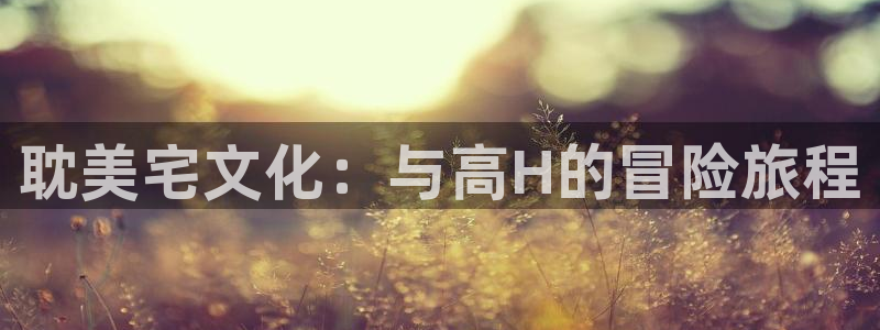 香蕉漫画网站免费：耽美宅文化：与高H的冒险旅程