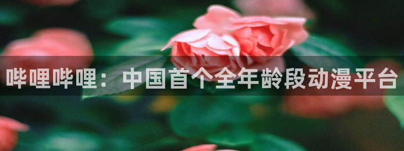 香蕉文化漫画书在线阅读平台下拉式：哔哩哔哩：中国首个全年龄段动漫平台