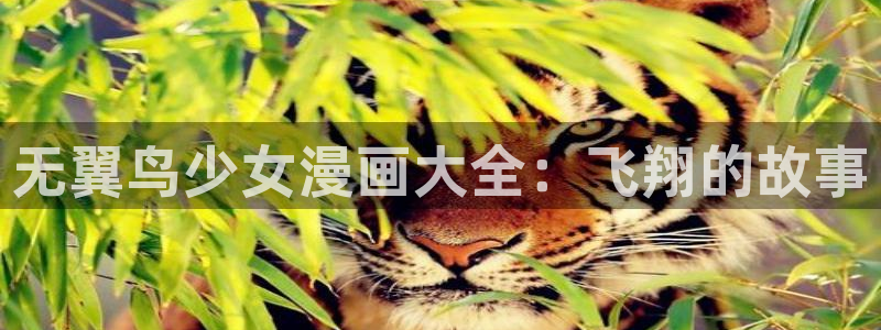 香蕉漫画app在线阅读：无翼鸟少女漫画大全：飞翔的故事