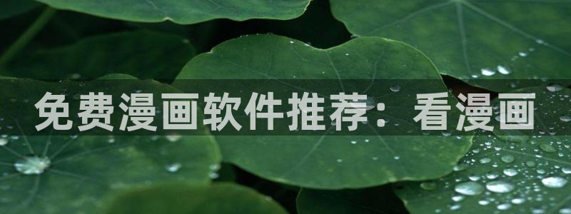 91香蕉漫画免费破解版：免费漫画软件推荐：看漫画