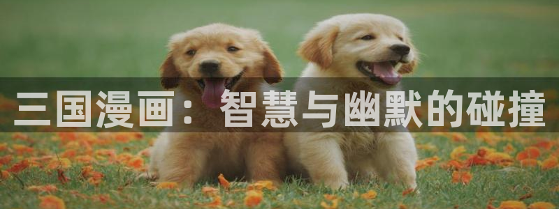 香蕉漫画免费漫画在线阅读