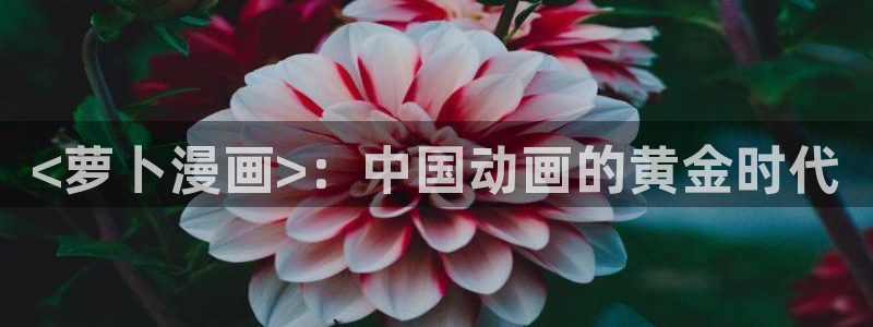 香蕉漫画在线观看免费网页