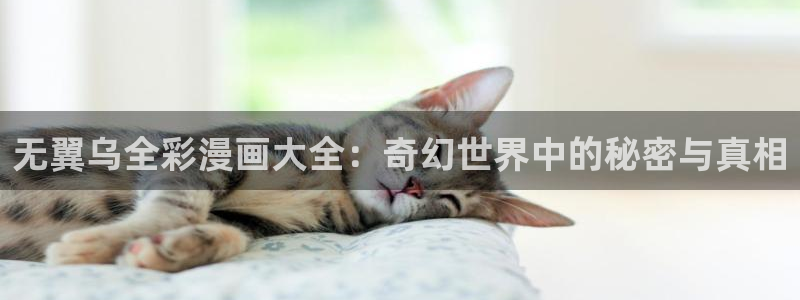 香蕉文化漫画书阅读下拉式2024：无翼乌全彩漫画大全：奇幻世界中的秘密与真相