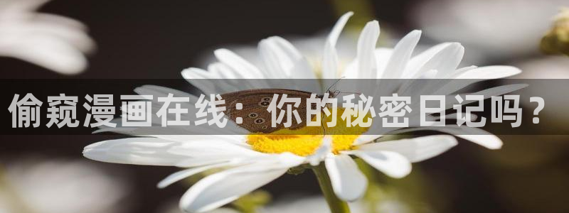 香蕉漫画书下拉式最新